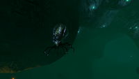 A Crabsquid in the area