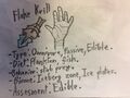 Thumbnail for version as of 23:55, 11 May 2018