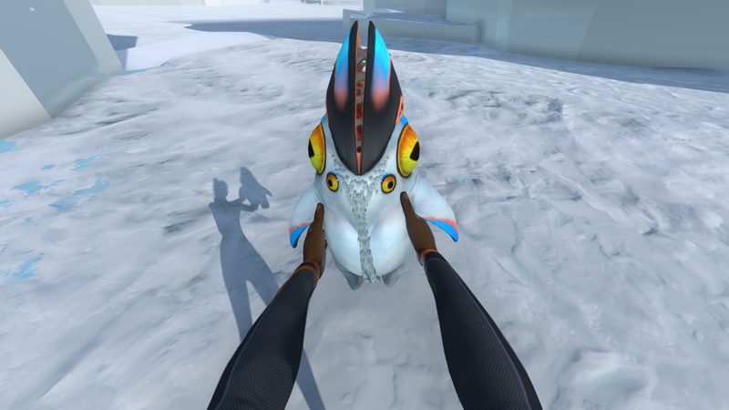File:Babypinguhold.png
