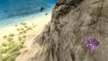 Lithium crystal and Spadefish in Dunes