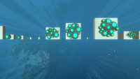 The Blue Barnacles found in the Entity Gallery