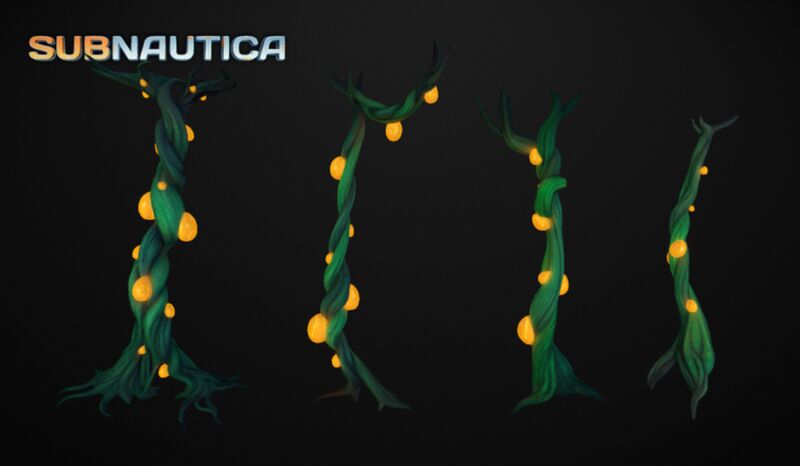 File:Kelp Cave Roots.jpeg