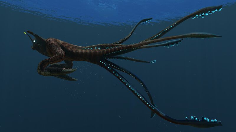 File:SeaEmperor4.jpg