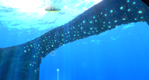 TwistyBridgesInGame.png