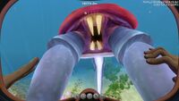 Do you want to visit the Jellyshrooms now?