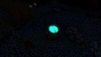Bioluminescence