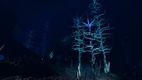 Overview of the Blood Kelp Trench
