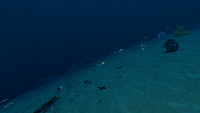 Some of the many resources and Fauna in the Crash Zone