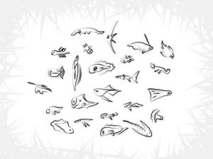 Fish sheet 1.jpg