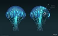 "Mushroom" Plant - by Pavel Goloviy