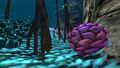 Purple Pinecone under some Floating Stones
