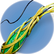 Ribbon Plant.png