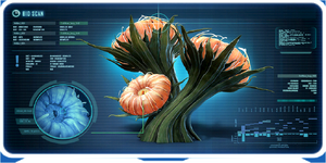 Cave-Flowers frame.png