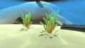 Green Reeds next to Aurora in Safe Shallows