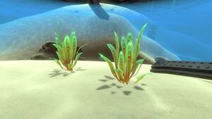GreenReeds04.jpg