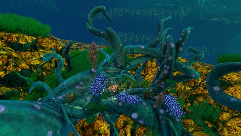 File:Lilypad Dead.jpg