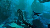 A pack of Brute Sharks in the biome