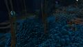 Deep Grand Reef (29).jpg