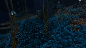Deep Grand Reef (29).jpg