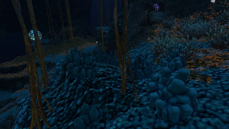 File:Deep Grand Reef (29).jpg