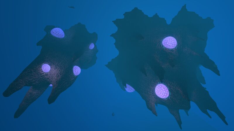 File:Floater-UnderIslands.jpg
