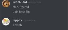 Image-3.jpeg