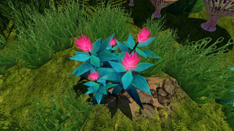 File:Pink Flower01.jpg
