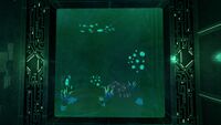 Yet another, smaller aquarium