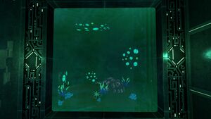PipeAquarium4.jpg