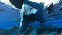View of the underside of an iceberg