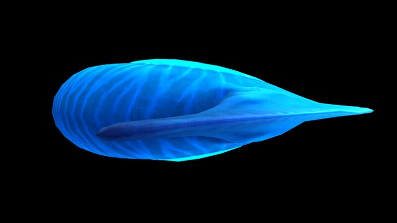 File:Titan Holefish 3.jpg