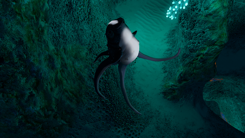 File:Cute Fish Twirl.png