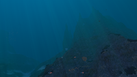 Transition with the Sparse Reef