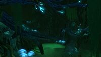 A large Ghost Tree inside