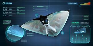 SkyRay (BZ).jpg
