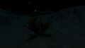 Faint Bioluminescence