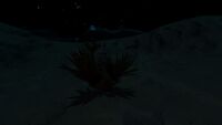 At night