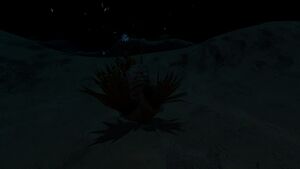 SpikedHornGrassNight.jpg