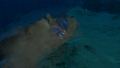But quick! Warpern is being dragged into the sandy depths of hell by the Sand Shark