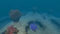 The surface of the big Underwater Island