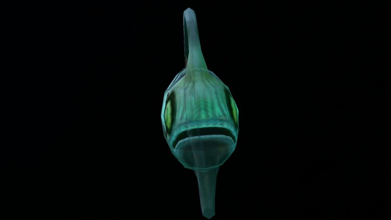 File:Blood Hoopfish (3).jpg