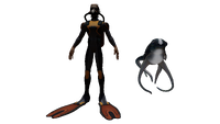 Size compared to the player