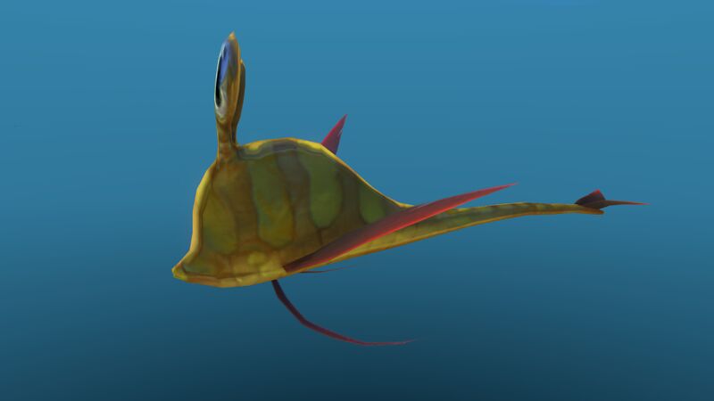 File:Garryfish 10.jpg