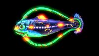 Infected Hoopfish (Black).jpg
