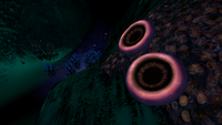 Tree Leeches on the cave's wall