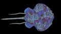 Thumbnail for version as of 21:53, 17 October 2016