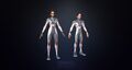 Model on Sketchfab