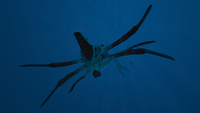 A Reaper Leviathan swimming downwards