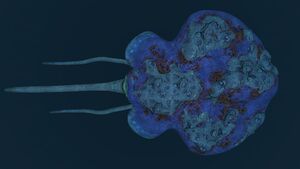 Reefback6.jpg