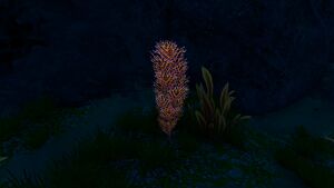 Cave Bush Relative STB.jpg
